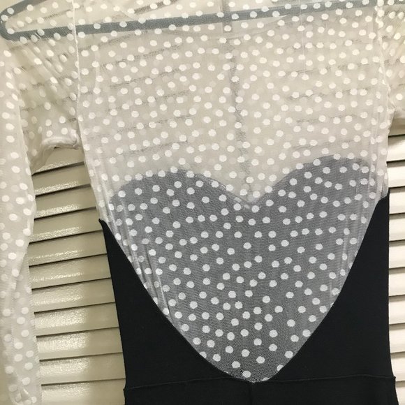 Long Sleeve Sheer Dress - Picture 4 of 4